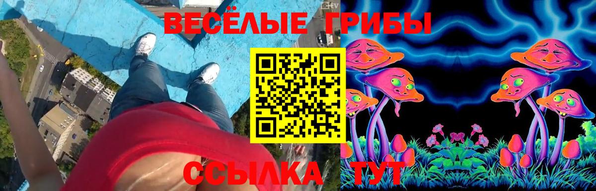 Галлюциногенные грибы MAGIC MUSHROOMS  где купить наркоту  Вход с VPN  Усть-Джегута  Галлюциногенные грибы прущие грибы 